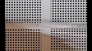 شخصية ملوك الواقع الرائعة وولف و سكس كلاسيكي قديم مترجم التبشيرية Smut